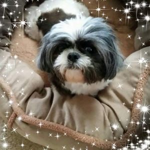 Meet your Posher, Brenda